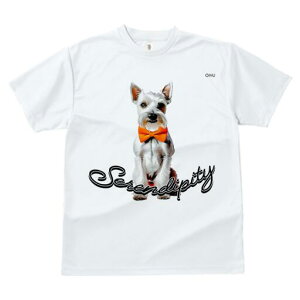 ~j`AViEU[ TVc  j[NfUCfB[X t@  t vg lJWA 킢 lԗp Mtg I ҏ΍ lN^C ~j`AViEU