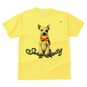 ~j`AViEU[ TVc  j[NfUCfB[X t@  t vg lJWA 킢 lԗp Mtg I ҏ΍ lN^C ~j`AViEU