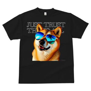 Č TVc  j[NfUCfB[X t@  t vg lJWA 킢 lԗp Mtg I ҏ΍ TOX Č r[`