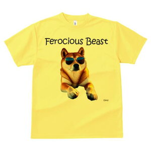 Č TVc  j[NfUCfB[X t@  t vg lJWA 킢 lԗp Mtg I ҏ΍ TOX Č