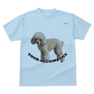 v[h TVc  j[NfUCfB[X t@  t vg lJWA 킢 lԗp Mtg I ҏ΍ Kl v[h