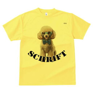 gCv[h TVc  j[NfUCfB[X t@  t vg lJWA 킢 lԗp Mtg I ҏ΍ Kl gCv[h lN^C