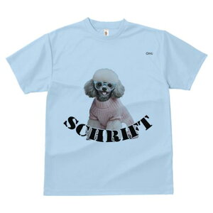 gCv[h TVc  j[NfUCfB[X t@  t vg lJWA 킢 lԗp Mtg I ҏ΍ Kl gCv[h Z[^[