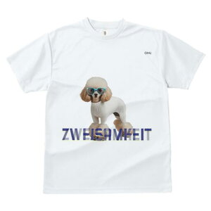 v[h TVc  j[NfUCfB[X t@  t vg lJWA 킢 lԗp Mtg I ҏ΍ Kl v[h Z[^[