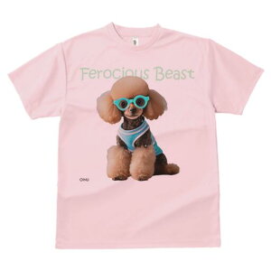 gCv[h TVc  j[NfUCY LbY t@  t vg lJWA 킢 lԗp Mtg I ҏ΍ Kl gCv[h