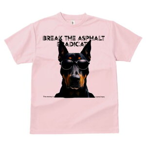 h[x} TVc  j[NfUCfB[X t@  t vg lJWA 킢 lԗp Mtg I ҏ΍ TOX h[x}