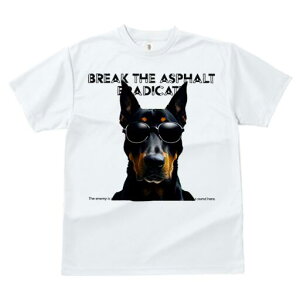 h[x} TVc  j[NfUCfB[X t@  t vg lJWA 킢 lԗp Mtg I ҏ΍ TOX h[x}