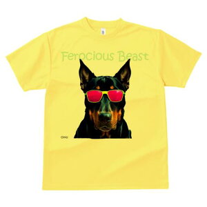 h[x} TVc  j[NfUCfB[X t@  t vg lJWA 킢 lԗp Mtg I ҏ΍ TOX h[x}