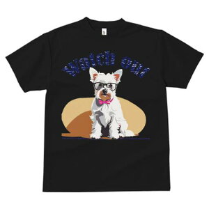 EGXgnChzCgeA TVc  j[NfUCfB[X t@  t vg lJWA 킢 lԗp Mtg I ҏ΍ Kl EGXgnC