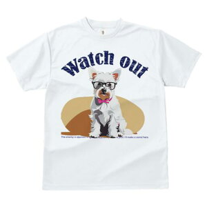 EGXgnChzCgeA TVc  j[NfUCfB[X t@  t vg lJWA 킢 lԗp Mtg I ҏ΍ Kl EGXgnC