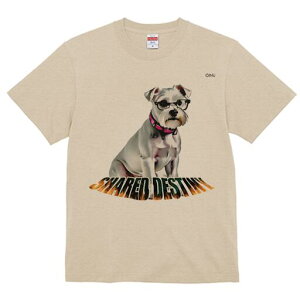 ~j`AViEU[ TVc  j[NfUCY LbY t@  t vg lJWA 킢 lԗp Mtg I ҏ΍ Kl ~j`AViEU