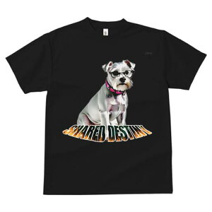 ~j`AViEU[ TVc  j[NfUCY LbY t@  t vg lJWA 킢 lԗp Mtg I ҏ΍ Kl ~j`AViEU