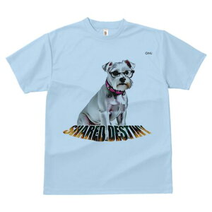 ~j`AViEU[ TVc  j[NfUCY LbY t@  t vg lJWA 킢 lԗp Mtg I ҏ΍ Kl ~j`AViEU