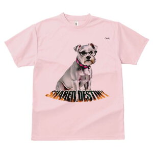 ~j`AViEU[ TVc  j[NfUCY LbY t@  t vg lJWA 킢 lԗp Mtg I ҏ΍ Kl ~j`AViEU