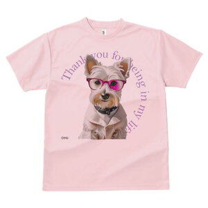 EGXgnChzCgeA TVc  j[NfUCfB[X t@  t vg lJWA 킢 lԗp Mtg I ҏ΍ Kl EGXgnC