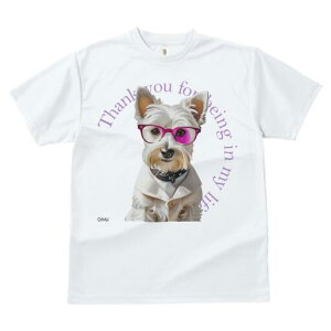 EGXgnChzCgeA TVc  j[NfUCfB[X t@  t vg lJWA 킢 lԗp Mtg I ҏ΍ Kl EGXgnC