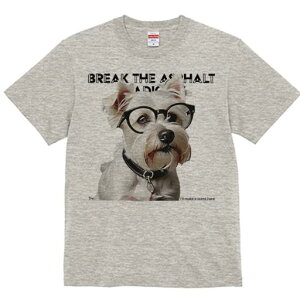 EGXgnChzCgeA TVc  j[NfUCfB[X t@  t vg lJWA 킢 lԗp Mtg I ҏ΍ Kl EGXgnC