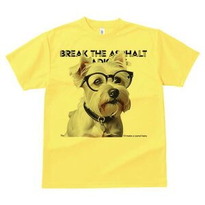 EGXgnChzCgeA TVc  j[NfUCfB[X t@  t vg lJWA 킢 lԗp Mtg I ҏ΍ Kl EGXgnC