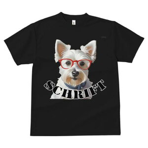 EGXgnChzCgeA TVc  j[NfUCY LbY t@  t vg lJWA 킢 lԗp Mtg I ҏ΍ Kl EGXgn