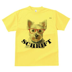 EGXgnChzCgeA TVc  j[NfUCY LbY t@  t vg lJWA 킢 lԗp Mtg I ҏ΍ Kl EGXgn