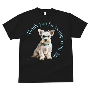 EGXgnChzCgeA TVc  j[NfUCfB[X t@  t vg lJWA 킢 lԗp Mtg I ҏ΍ Kl EGXgnC