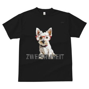 EGXgnChzCgeA TVc  j[NfUCfB[X t@  t vg lJWA 킢 lԗp Mtg I ҏ΍ Kl EGXgnC