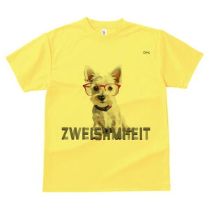 EGXgnChzCgeA TVc  j[NfUCY LbY t@  t vg lJWA 킢 lԗp Mtg I ҏ΍ Kl EGXgn