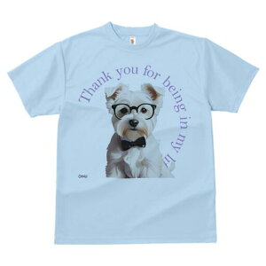 EGXgnChzCgeA TVc  j[NfUCY LbY t@  t vg lJWA 킢 lԗp Mtg I ҏ΍ Kl EGXgn