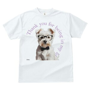 EGXgnChzCgeA TVc  j[NfUCY LbY t@  t vg lJWA 킢 lԗp Mtg I ҏ΍ Kl EGXgn