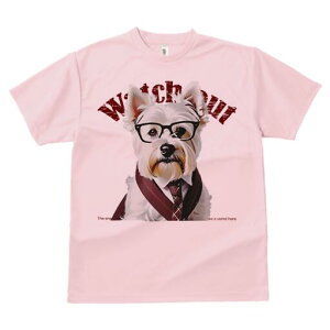 EGXgnChzCgeA TVc  j[NfUCfB[X t@  t vg lJWA 킢 lԗp Mtg I ҏ΍ Kl EGXgnC