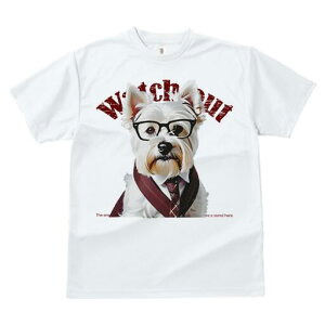 EGXgnChzCgeA TVc  j[NfUCfB[X t@  t vg lJWA 킢 lԗp Mtg I ҏ΍ Kl EGXgnC