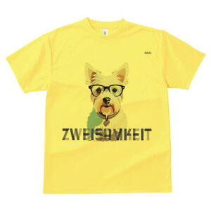 EGXgnChzCgeA TVc  j[NfUCfB[X t@  t vg lJWA 킢 lԗp Mtg I ҏ΍ Kl EGXgnC