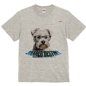 ~j`AViEU[ TVc  j[NfUCfB[X t@  t vg lJWA 킢 lԗp Mtg I ҏ΍ Kl ~j`AViEU[