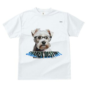 ~j`AViEU[ TVc  j[NfUCfB[X t@  t vg lJWA 킢 lԗp Mtg I ҏ΍ Kl ~j`AViEU[