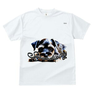 ~j`AViEU[ TVc  j[NfUCfB[X t@  t vg lJWA 킢 lԗp Mtg I ҏ΍ ~j`AViEU[