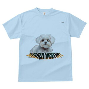 }`[Y TVc  j[NfUCfB[X t@  t vg lJWA 킢 lԗp Mtg I ҏ΍ }`[Y