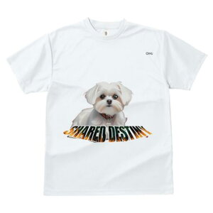 }`[Y TVc  j[NfUCfB[X t@  t vg lJWA 킢 lԗp Mtg I ҏ΍ }`[Y