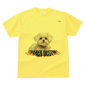 }`[Y TVc  j[NfUCfB[X t@  t vg lJWA 킢 lԗp Mtg I ҏ΍ }`[Y