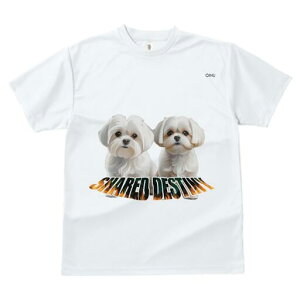 }`[Y TVc  j[NfUCfB[X t@  t vg lJWA 킢 lԗp Mtg I ҏ΍ }`[Y