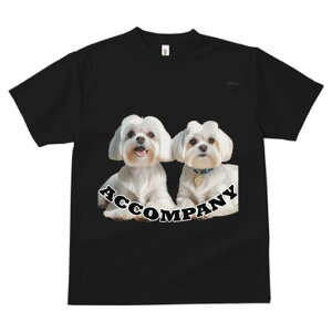 }`[Y TVc  j[NfUCfB[X t@  t vg lJWA 킢 lԗp Mtg I ҏ΍ }`[Y