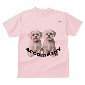 }`[Y TVc  j[NfUCfB[X t@  t vg lJWA 킢 lԗp Mtg I ҏ΍ }`[Y