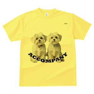 }`[Y TVc  j[NfUCfB[X t@  t vg lJWA 킢 lԗp Mtg I ҏ΍ }`[Y