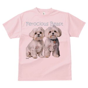 }`[Y TVc  j[NfUCfB[X t@  t vg lJWA 킢 lԗp Mtg I ҏ΍ }`[Y