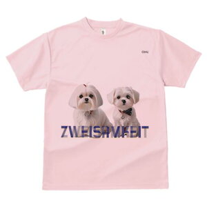 }`[Y TVc  j[NfUCfB[X t@  t vg lJWA 킢 lԗp Mtg I ҏ΍ }`[Y