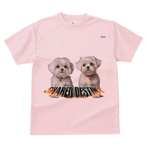 }`[Y TVc  j[NfUCfB[X t@  t vg lJWA 킢 lԗp Mtg I ҏ΍ ybg }`[Y 킢 炵 q