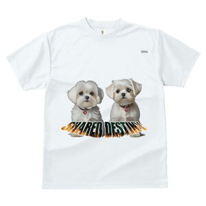 }`[Y TVc  j[NfUCfB[X t@  t vg lJWA 킢 lԗp Mtg I ҏ΍ ybg }`[Y 킢 炵 q