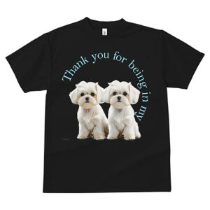 }`[Y TVc  j[NfUCfB[X t@  t vg lJWA 킢 lԗp Mtg I ҏ΍ }`[Y