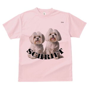 }`[Y TVc  j[NfUCfB[X t@  t vg lJWA 킢 lԗp Mtg I ҏ΍ }`[Y