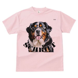 o[j[Y}EehbO TVc  j[NfUCY LbY t@  t vg lJWA 킢 lԗp Mtg I ҏ΍ Kl o[j[Y}E