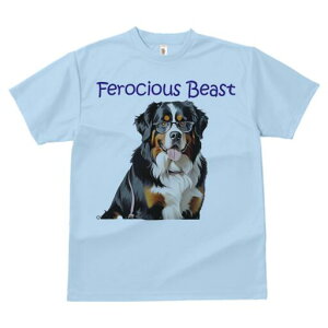 o[j[Y}EehbO TVc  j[NfUCfB[X t@  t vg lJWA 킢 lԗp Mtg I ҏ΍ Kl o[j[Y}Ee